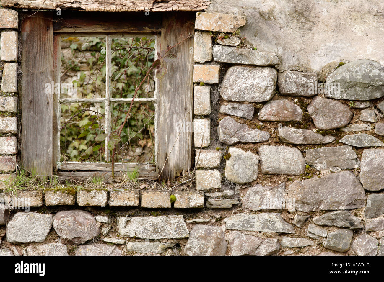 Old wall and window from derelict building Wales UK Stock Photo - Alamy