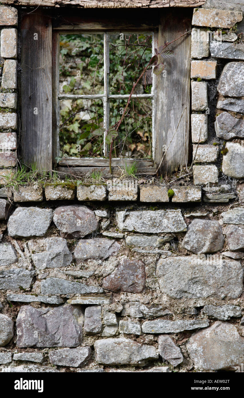 Old wall and window from derelict building Wales UK Stock Photo - Alamy