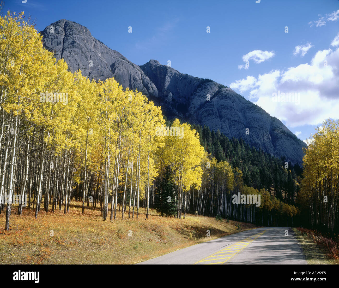 Banff National Park World Heritage ALBERTA CANADA Stock Photo - Alamy
