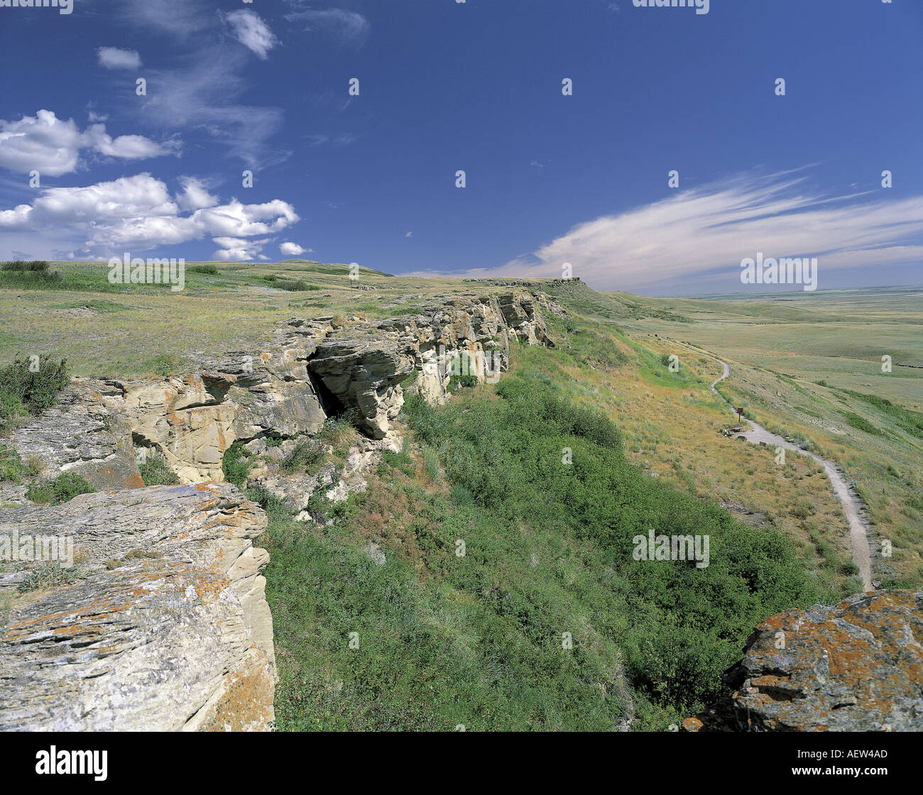 My Image 34
