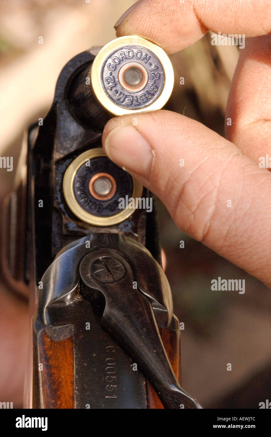 stock photo gun loaded stock photo gun loaded