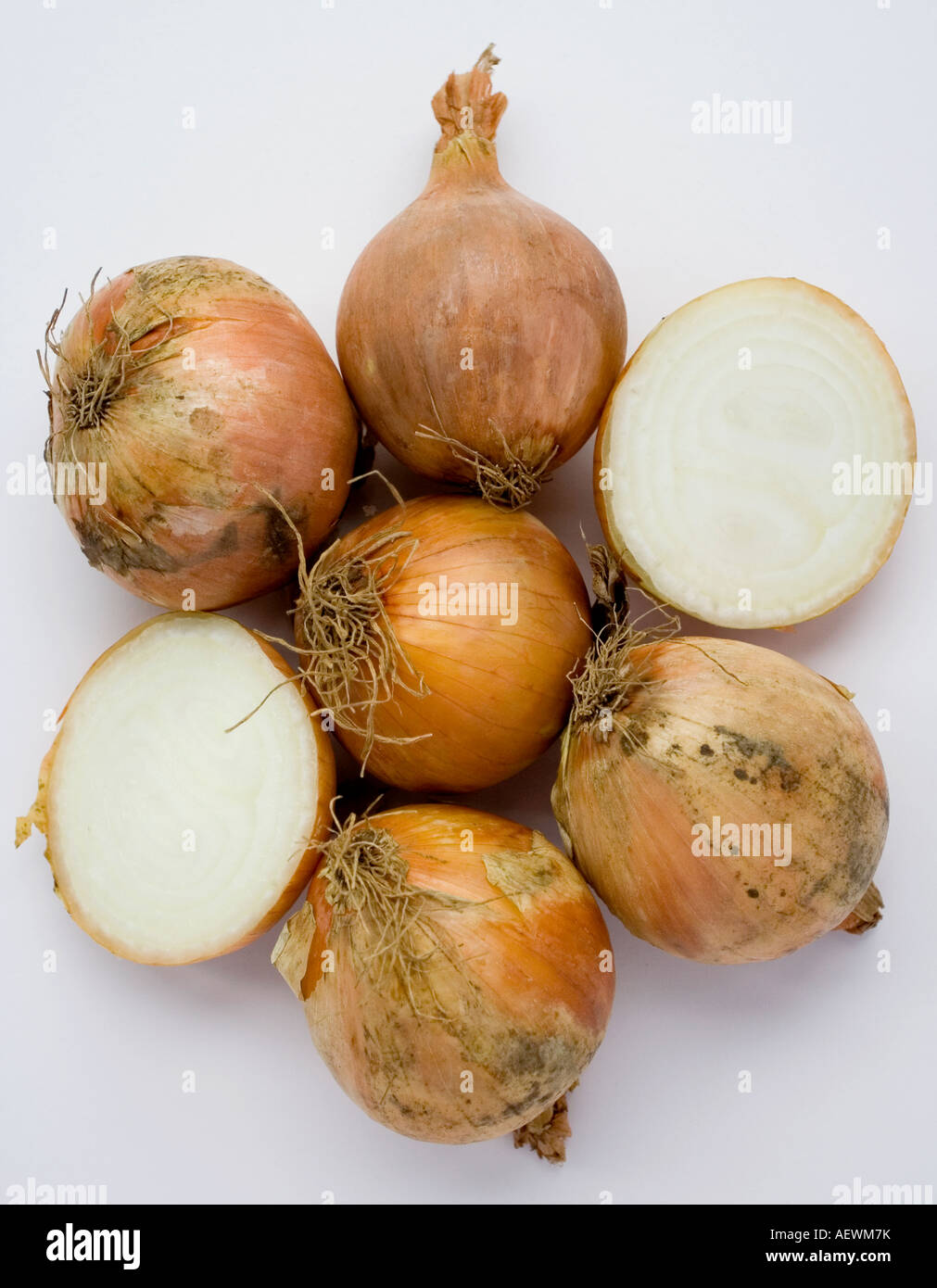 Onions in grocery hi-res stock photography and images - Alamy