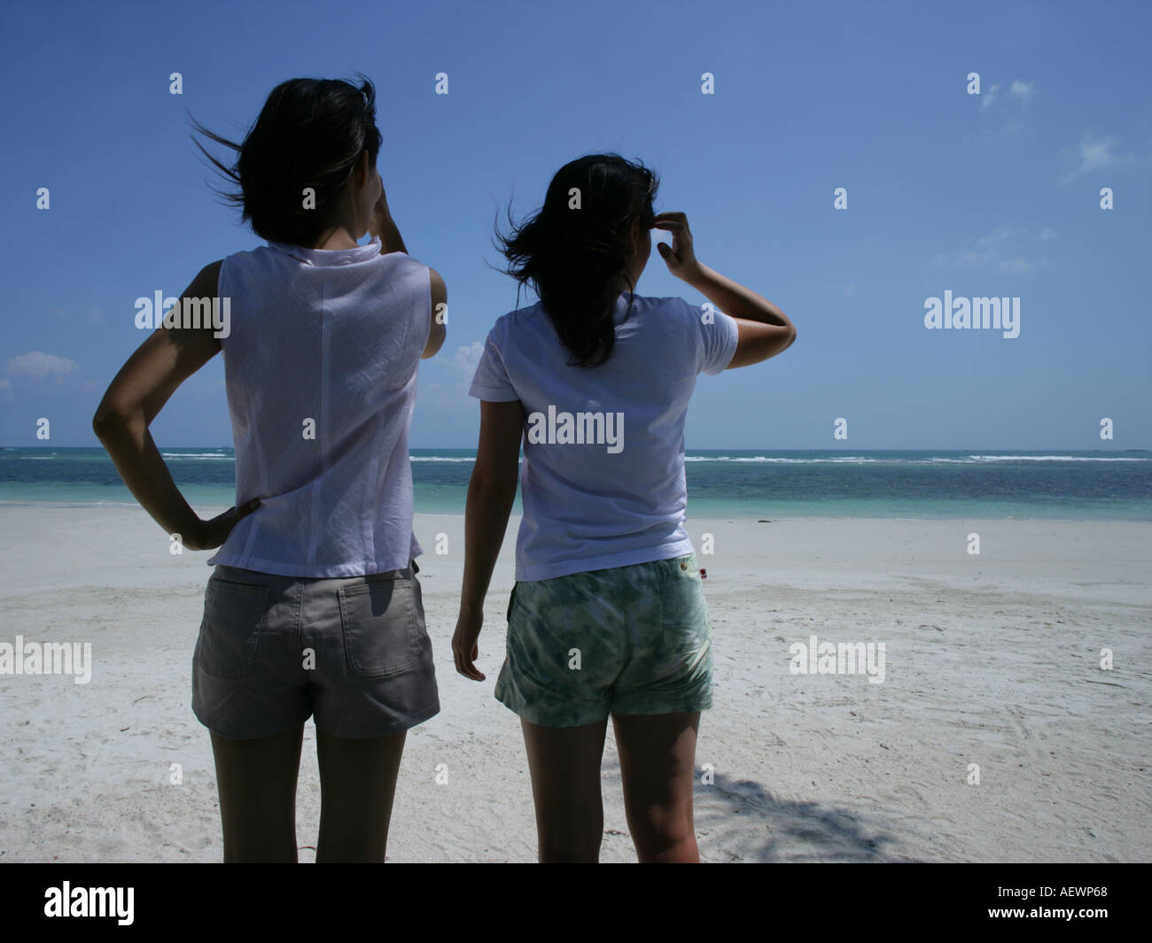 Rear view of two young women standing on the beach Stock Photo - Alamy