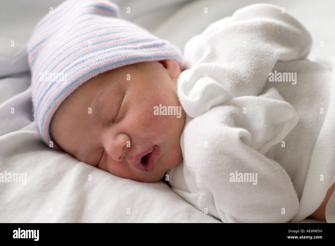 Newborn taking a nap Stock Photo Alamy
