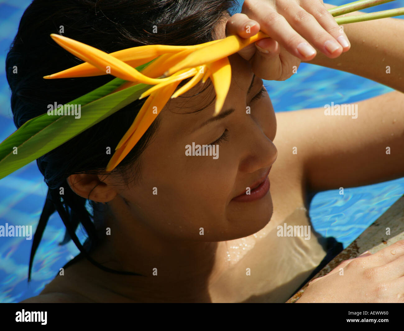 Close up of a young woman leaning at the poolside and holding a bird of paradise flower Caesalpinia gilliesii  Stock Photo