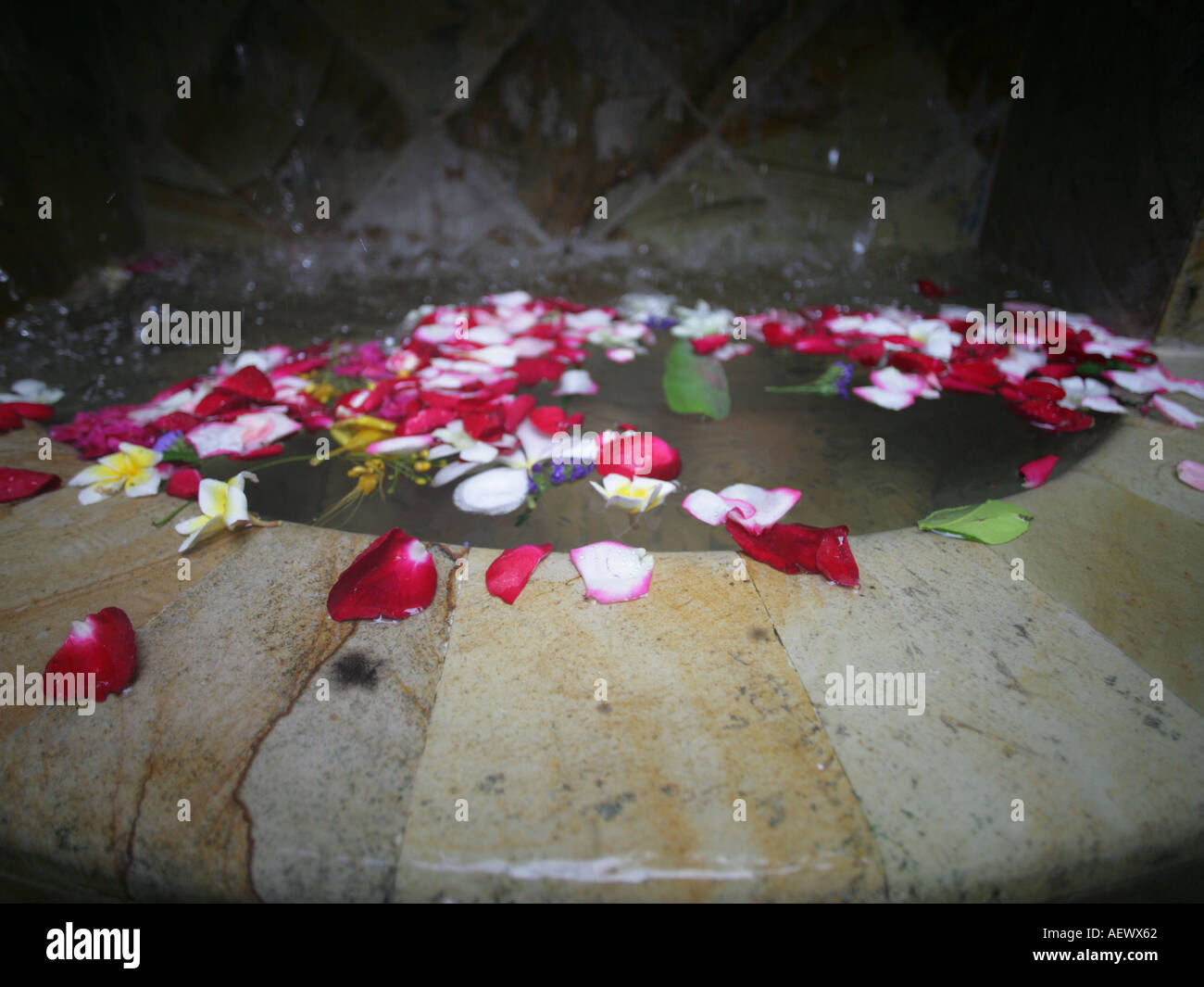 Bathtub flower arrangement hires stock photography and images Alamy