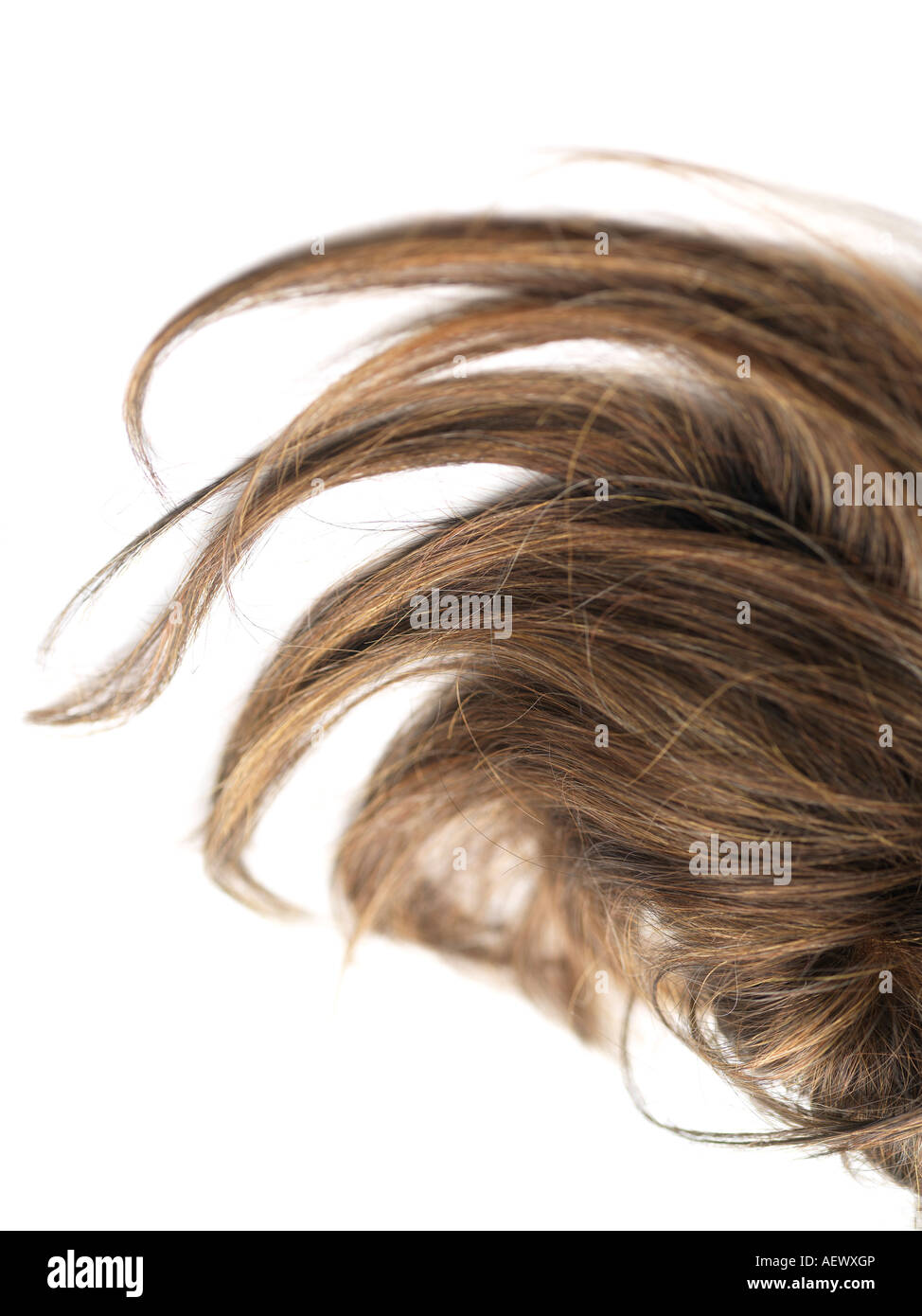 Short Hair Peruke NET TOYS Victorian Wig brown Gothic Hairstyle Steampunk Periwig