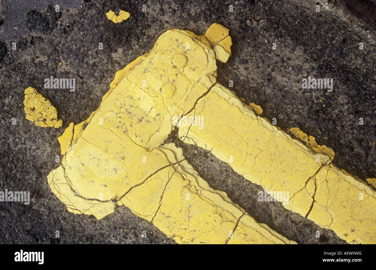 Detail from directly above of cracked and faded double yellow lines with end bar overpainted four times on worn grey tarmac road Stock Photo