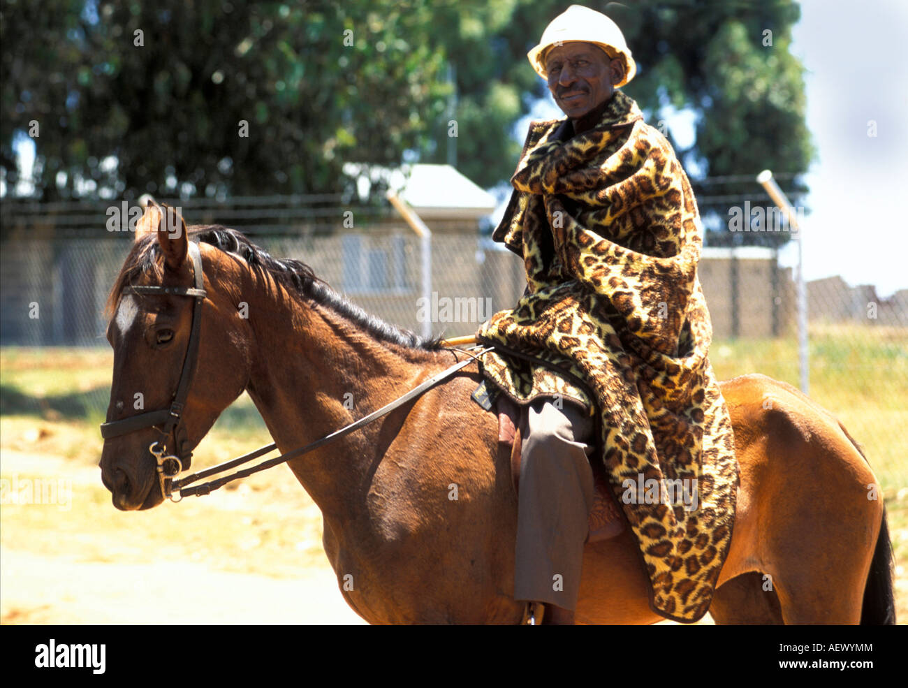 Many people use horses for transportation in Lesotho Stock Photo Alamy