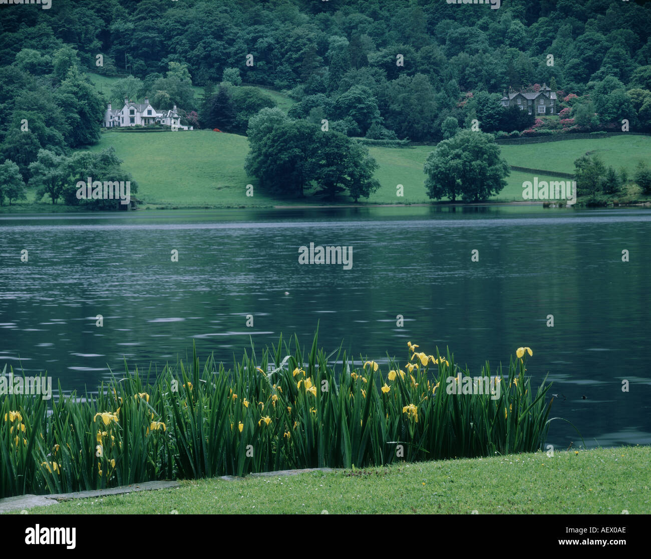 Lake Grasmere and White House LAKE DISTRICT UK Stock Photo Alamy
