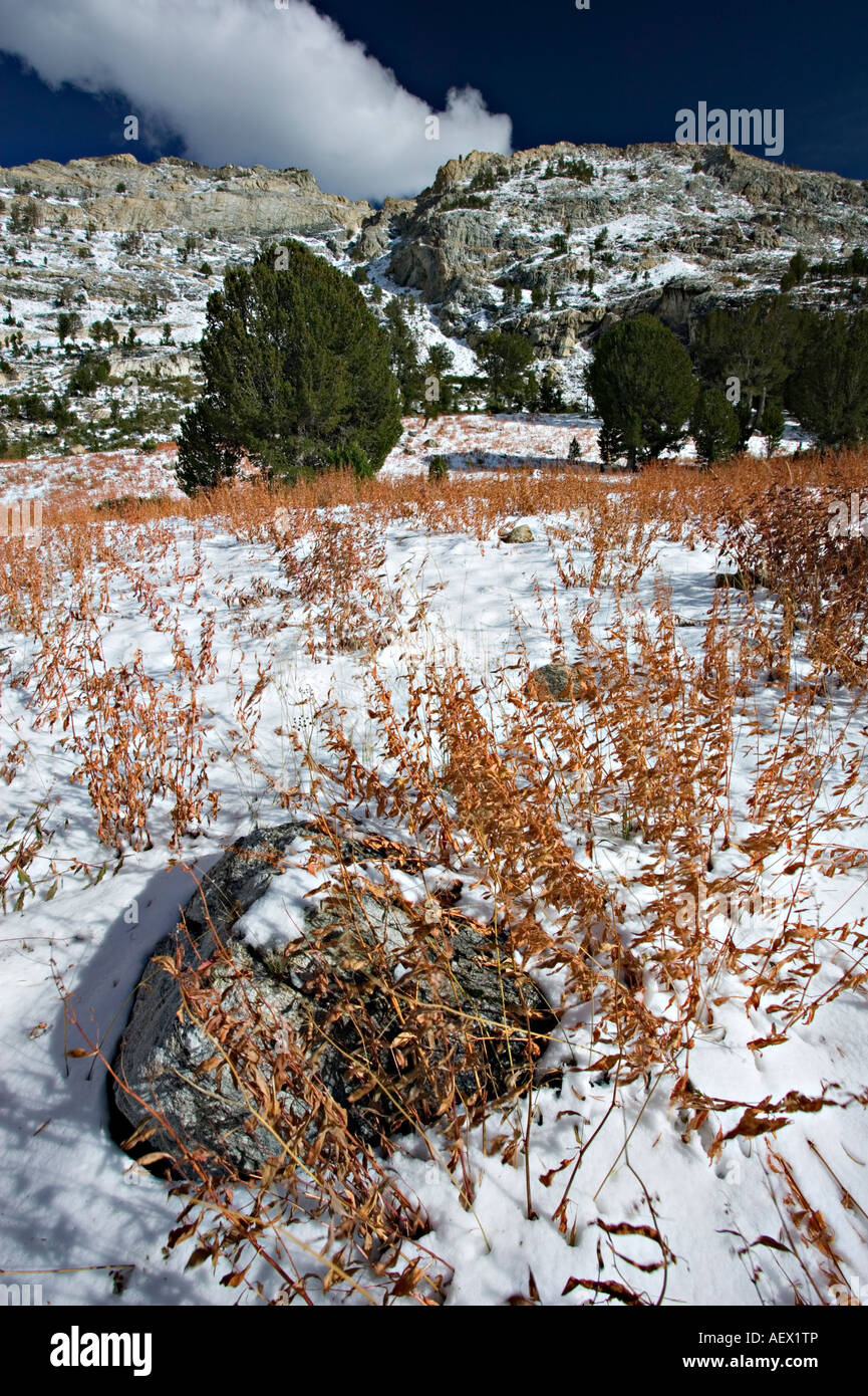 Ruby mountains Nevada Stock Photo Alamy