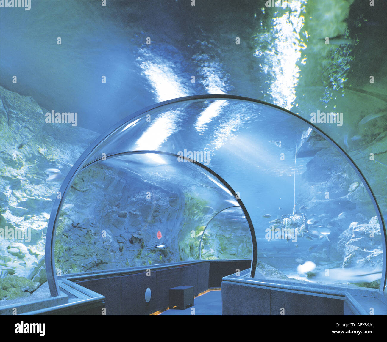 Underwater world guam hires stock photography and images Alamy