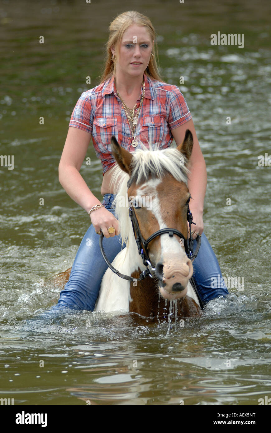 Girl riding swimming horse Stock Photo Alamy