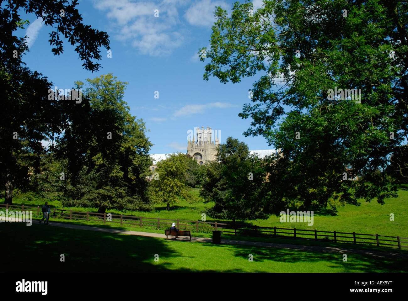 Ely Park and Octagon Tower of Ely Cathedral seen through trees ...