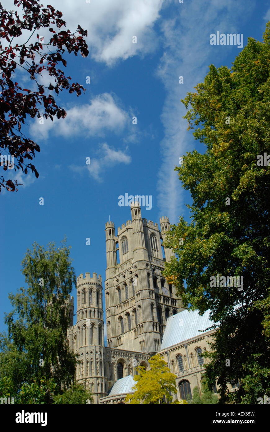 View of Ely Cathedral West Tower and South West Transept seen through ...