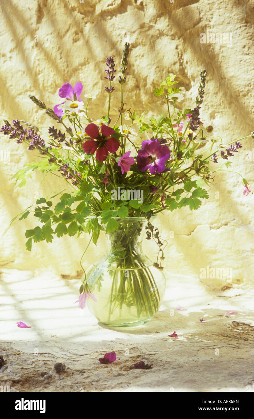 Small clear glass vase on warm roughly rendered cream painted sill containing Maidenhair fern Lavender Geranium and Feverfew Stock Photo
