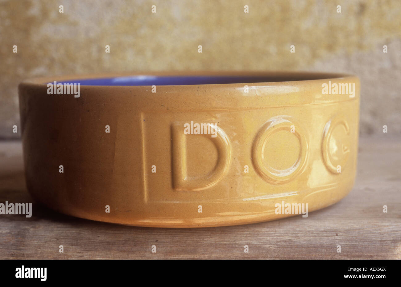 Close up of flat open ceramic bowl beige on outside blue inside with raised letters stating DOG on wooden shelf in warm light Stock Photo