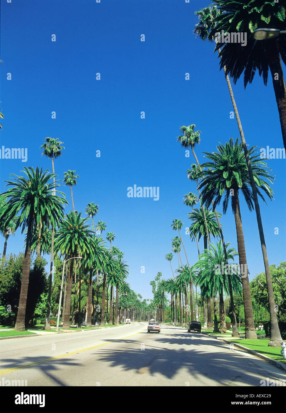 Beverly Hills LOS ANGELES USA Stock Photo