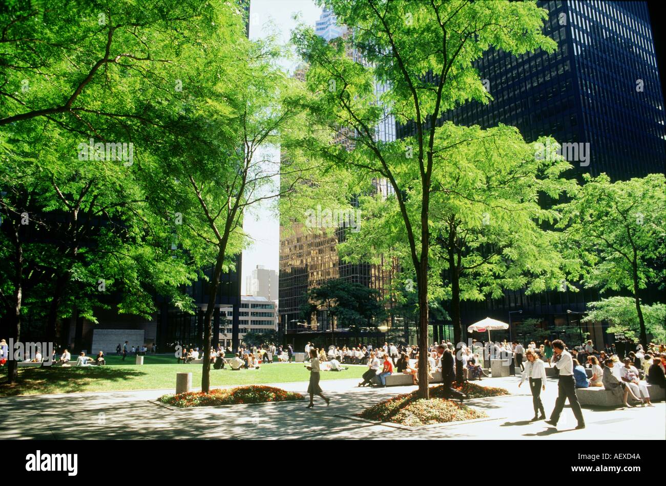 Commercial Center TORONTO CANADA Stock Photo Alamy