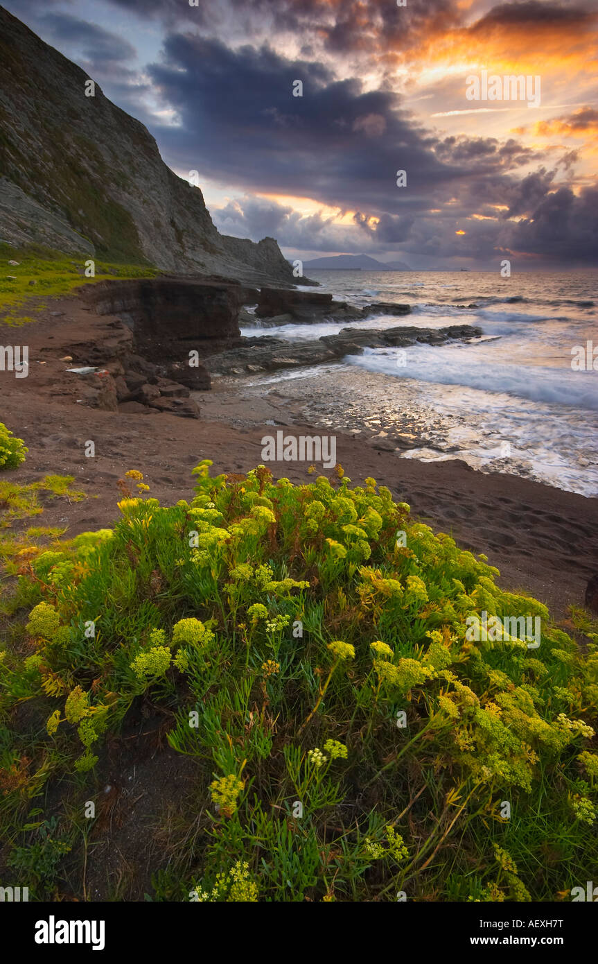 Coastline at Tunel Boca Beach, Bizcay, Basque Country, Spain. Costa de la playa de Tunel Boca, Vizcaya Pais Vasco Vizcaya España Stock Photo