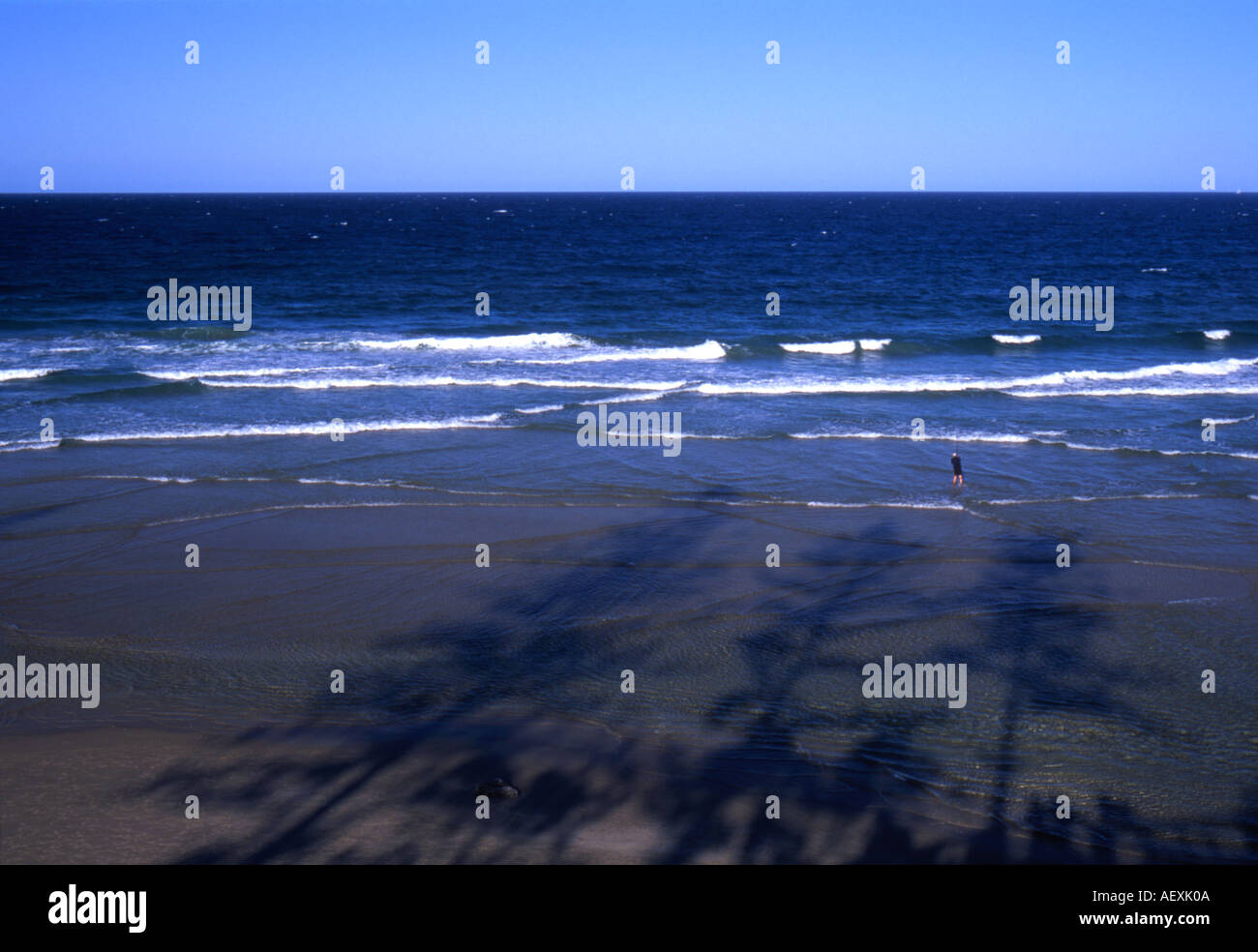 Lone man fishing on the beach Coolum Queensland Australia Stock Photo