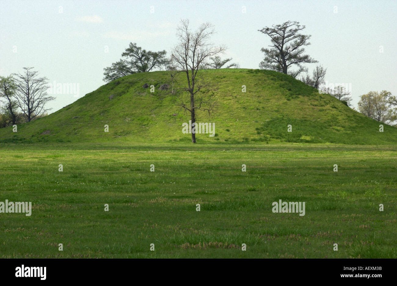 Platform mound of the Plum Bayou people in Toltec Mounds Archaeological