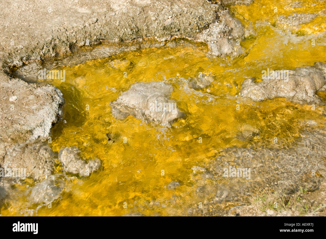 Biscuit Basin, Yellowstone National Park Stock Photo Alamy