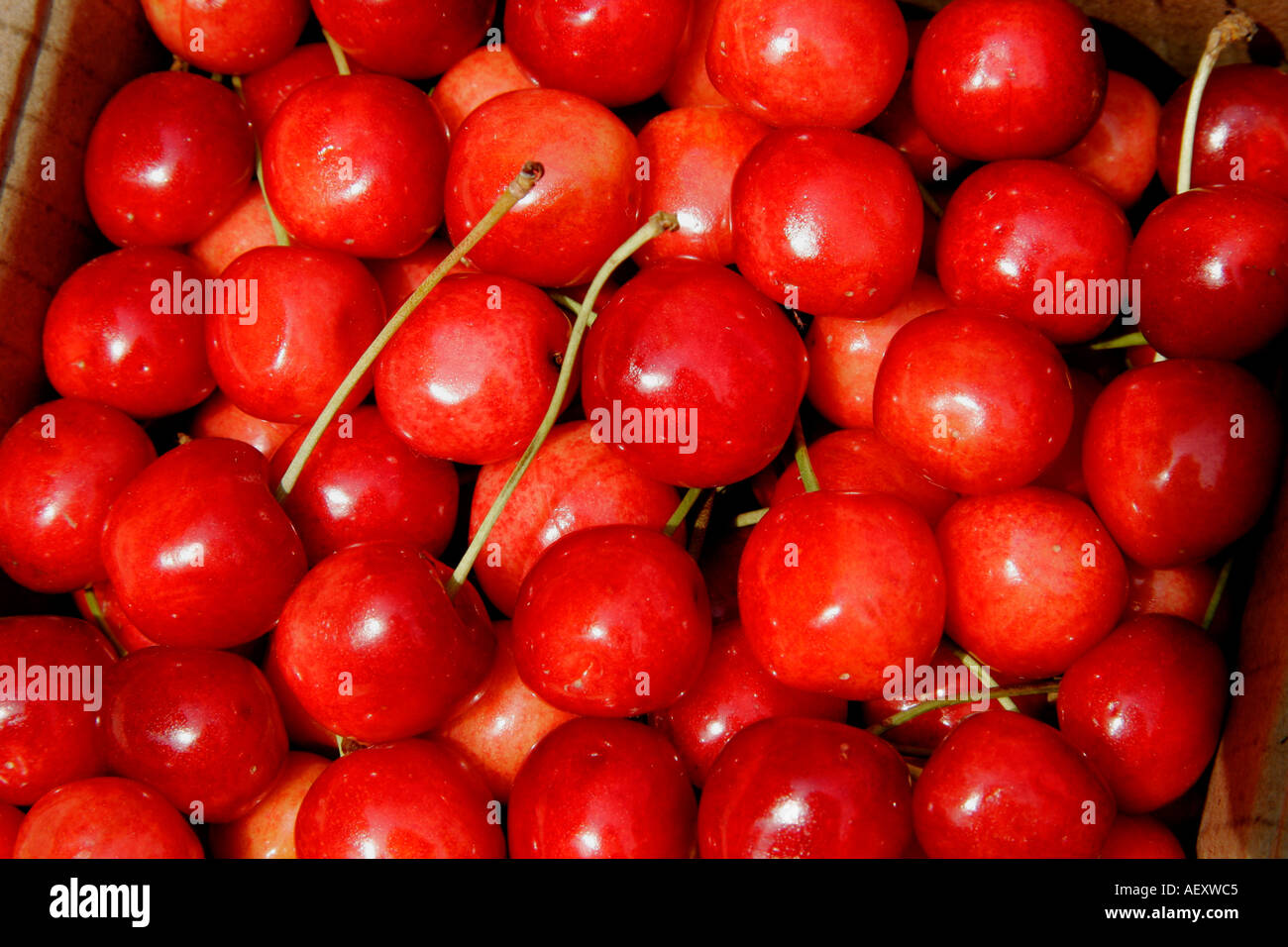 Kashmir fruits hires stock photography and images Alamy