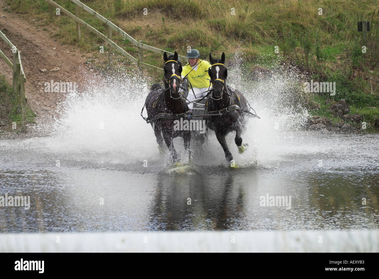 A Pair of horses thunder into the Water Splash at the Lowther Castle Driving Competition 2005 Stock Photo