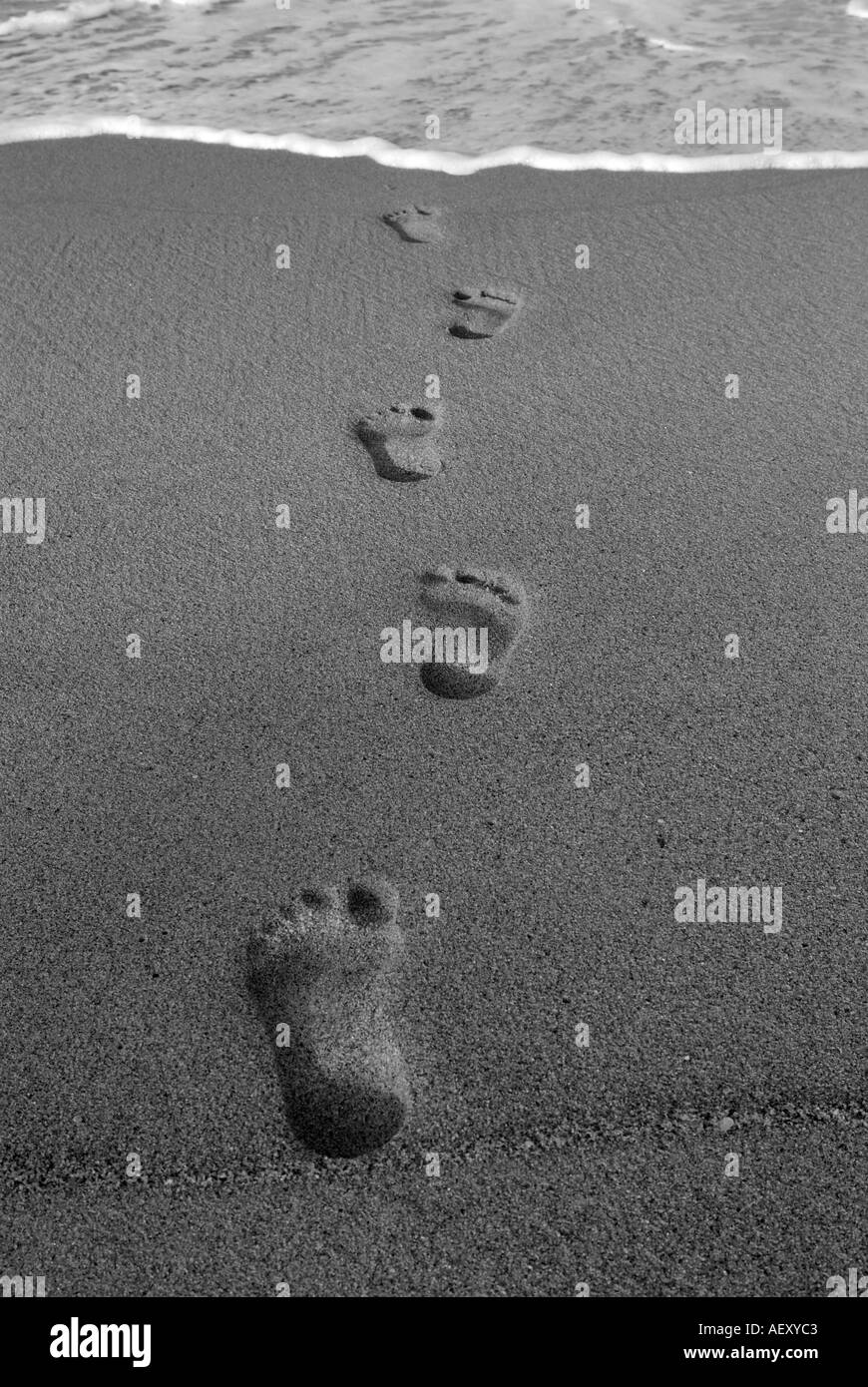 Beach loss Black and White Stock Photos & Images - Alamy