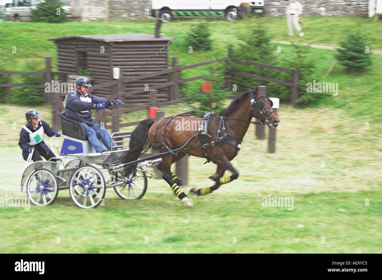 Single Horse and carriage Sprint for the exit gate of an obstacle during the Lowther Castle 2005 Carriage Driving Competition Stock Photo