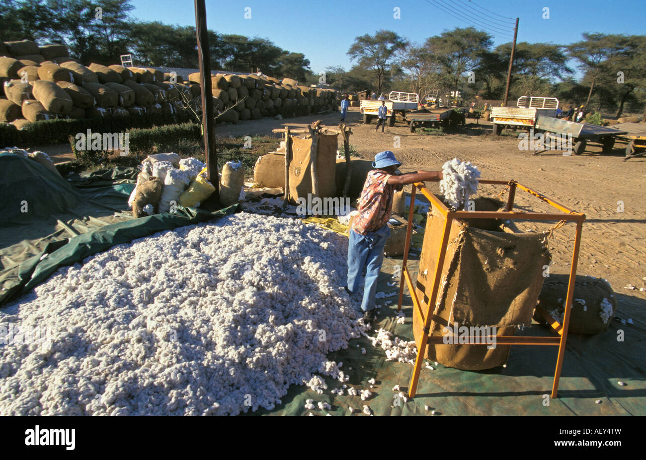 Zimbabwe Mavuradonna Wilderness Area north of Harare. People at cotton