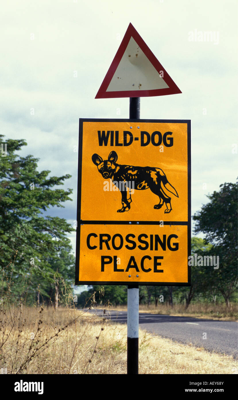 Zimbabwe Bulawayo, Road sign Crossing place of Painted Hunting Dog Stock Photo