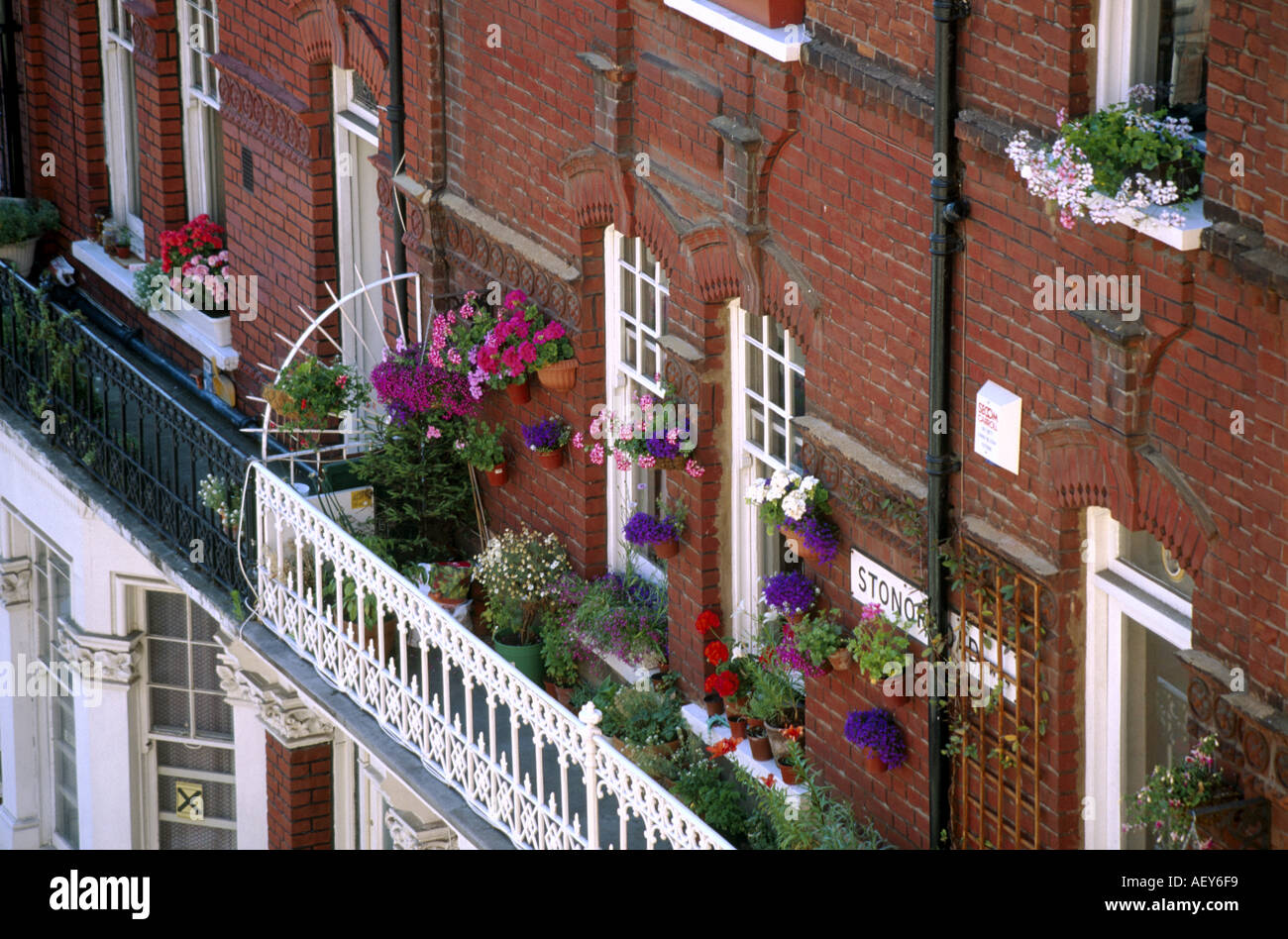 Terraced houses of Avonmore Road West Kensington London W14 England Stock Photo Alamy