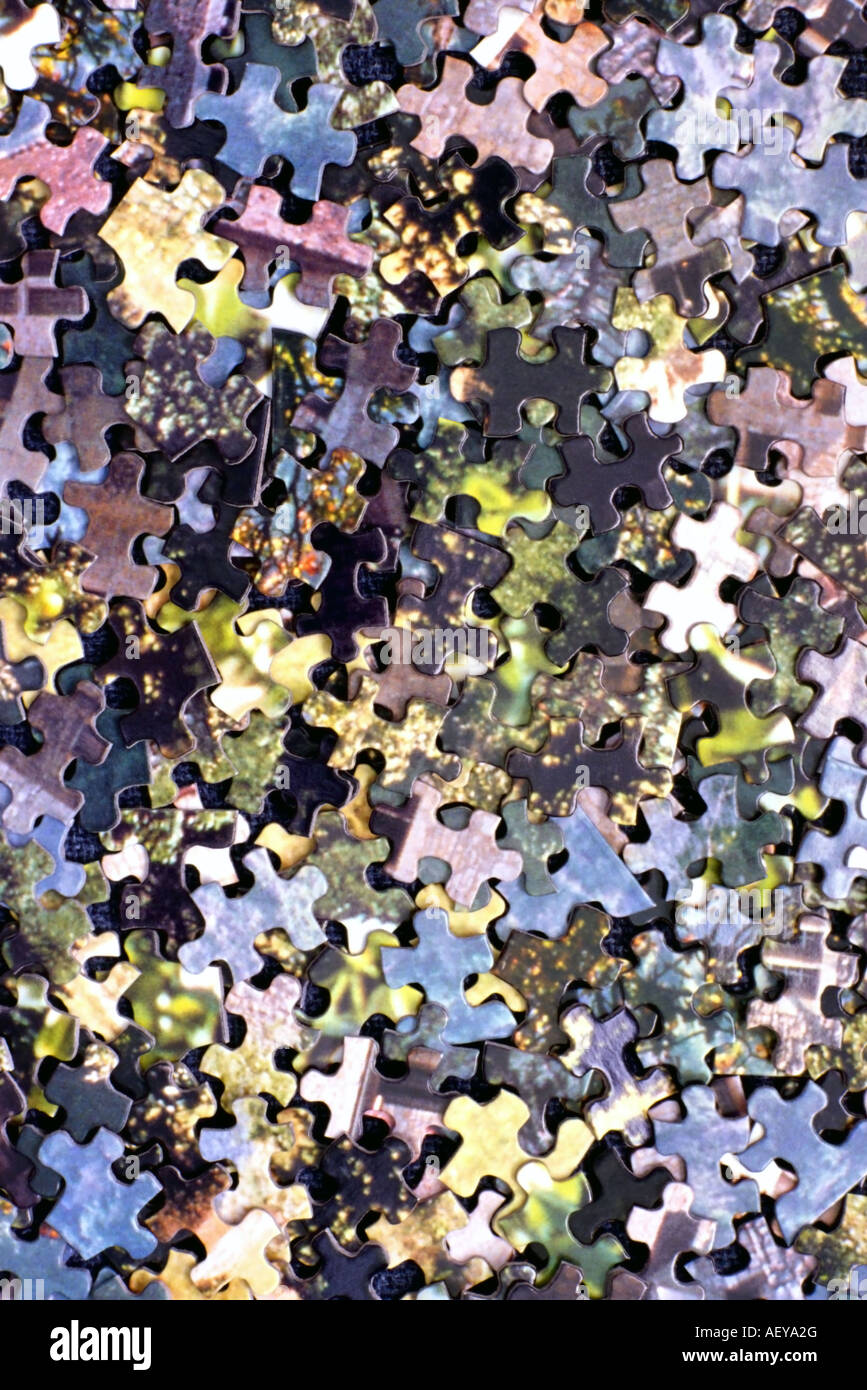 A 1,000 piece jigsaw puzzle, with all the pieces spread out face up to form an interesting