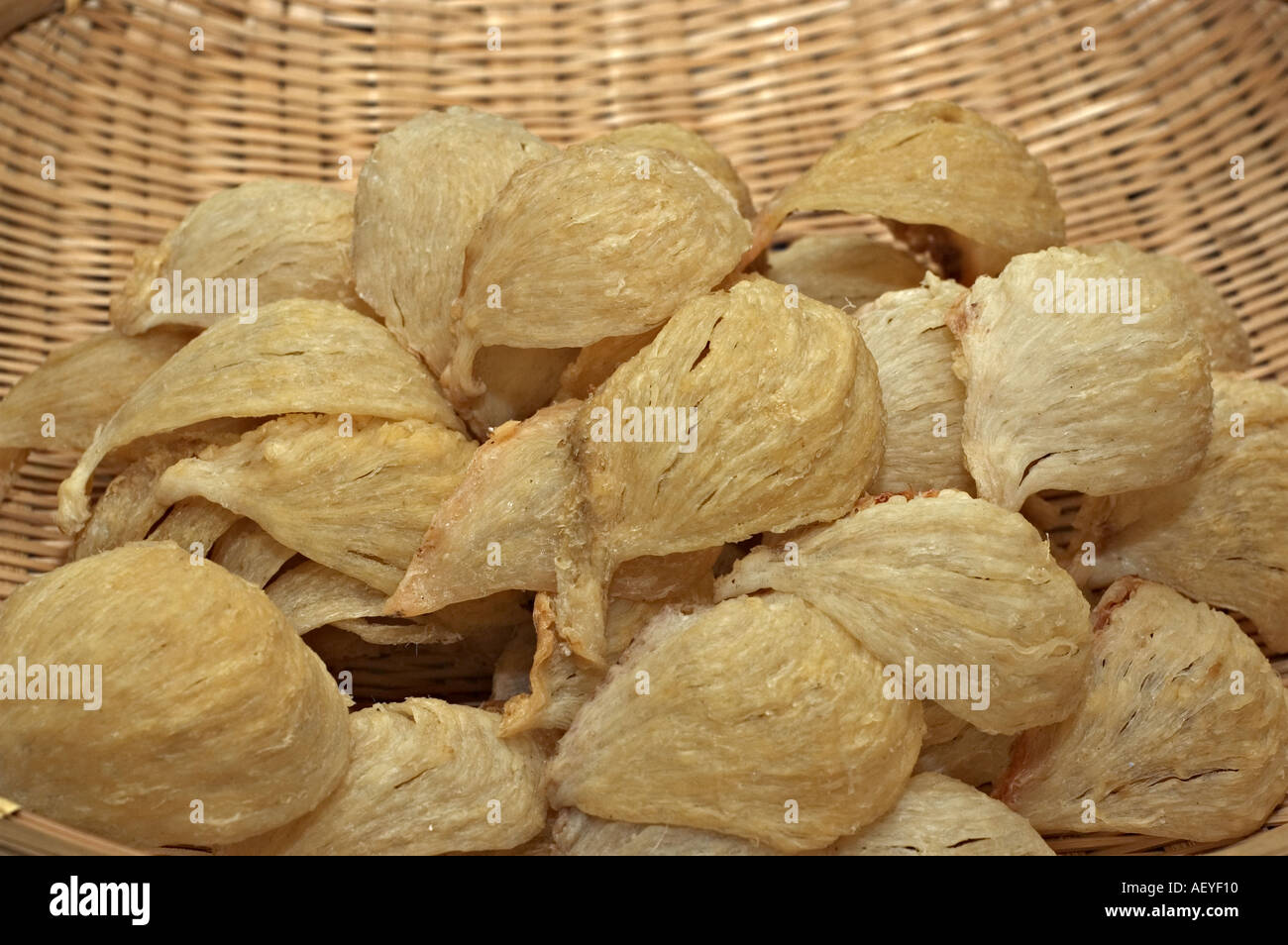 Raw birds nest for birds nest soup a delicacy in South East Asia Stock