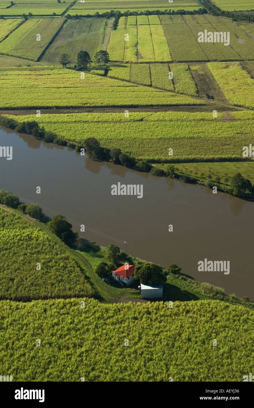 Sugarcane fields North of Maroochydore Queensland Sunshine coast