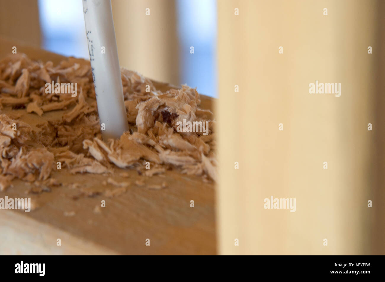 Close up of electrical wiring through a framing stud Stock Photo Alamy
