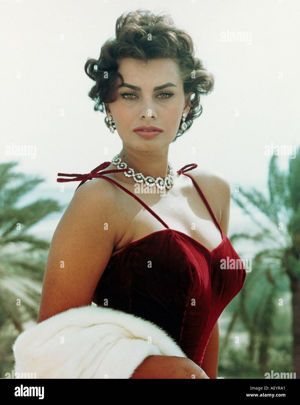 Sophia Loren Italian Erotic Telegraph