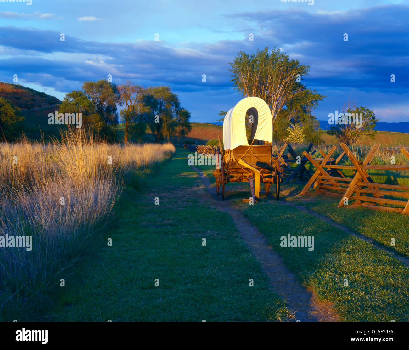 My Image 21