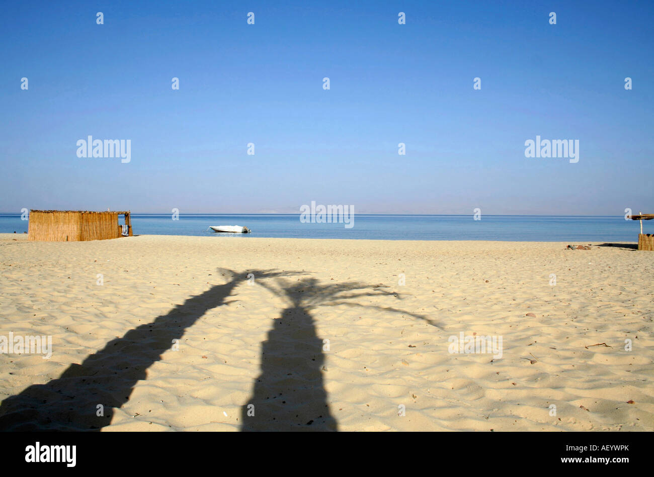 palm tree shadows on beach resort red sea sinai egypt Stock Photo - Alamy