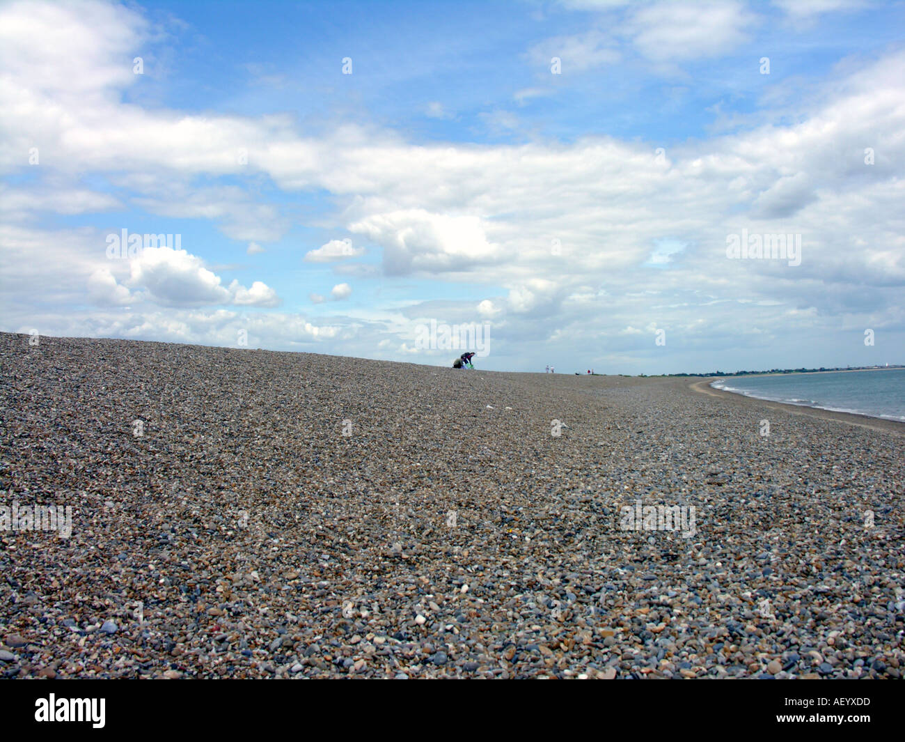 THE PEBBLE BEACH DUNWICH SUFFOLK ENGLAND UK EUROPE Stock Photo - Alamy