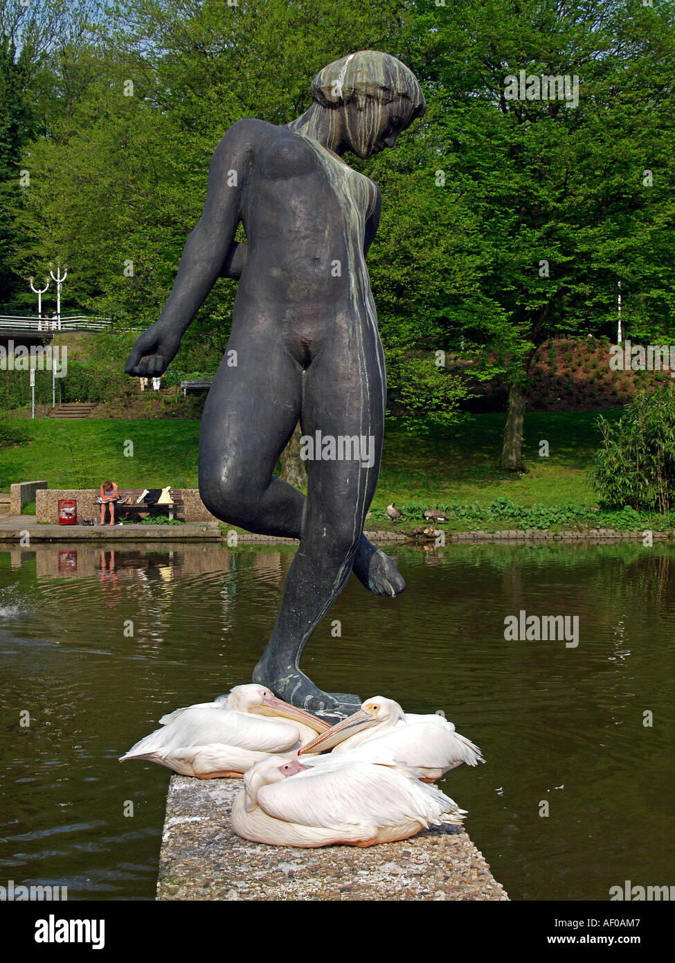 pelicans by a statue in Grugapark Essen Stock Photo