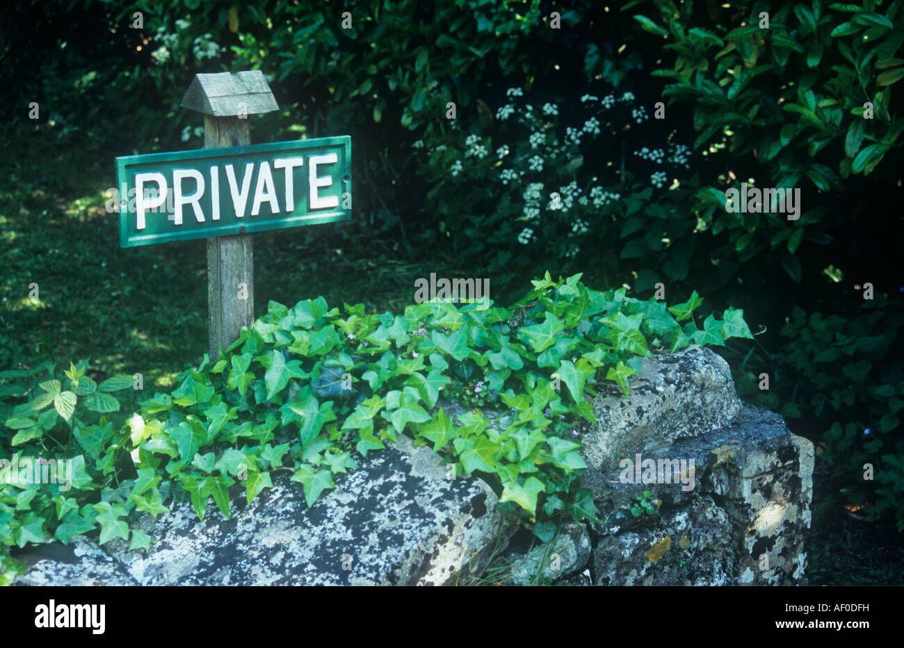 Green and cream sign on wooden post with small roof stating Private next to ivy-covered stone wall and Laurel or Prunus hedge Stock Photo