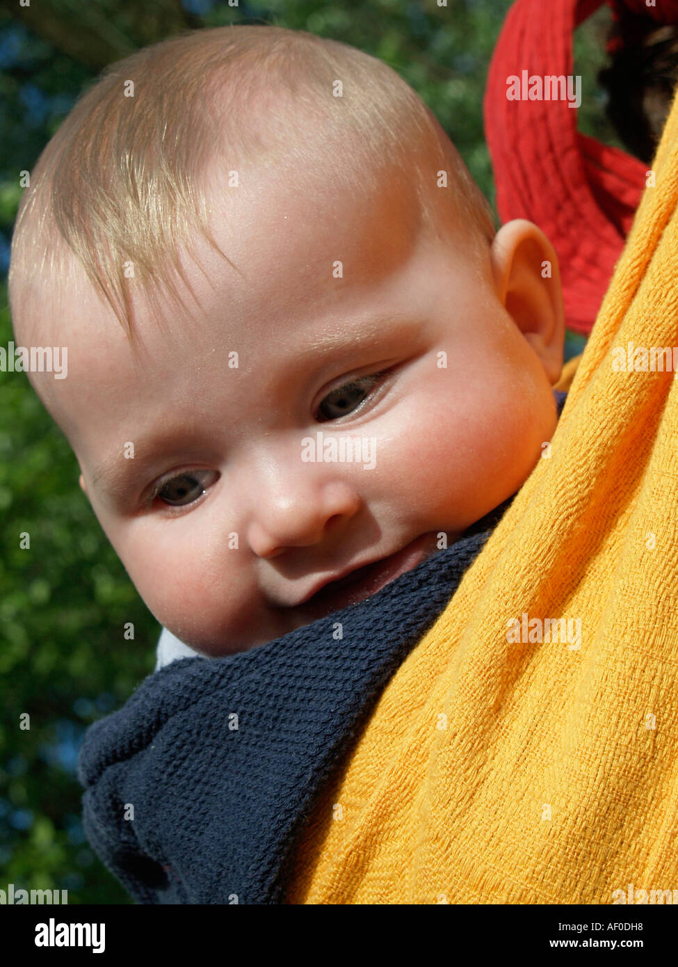 MR baby in a baby sling on the back of mother going for a walk in the