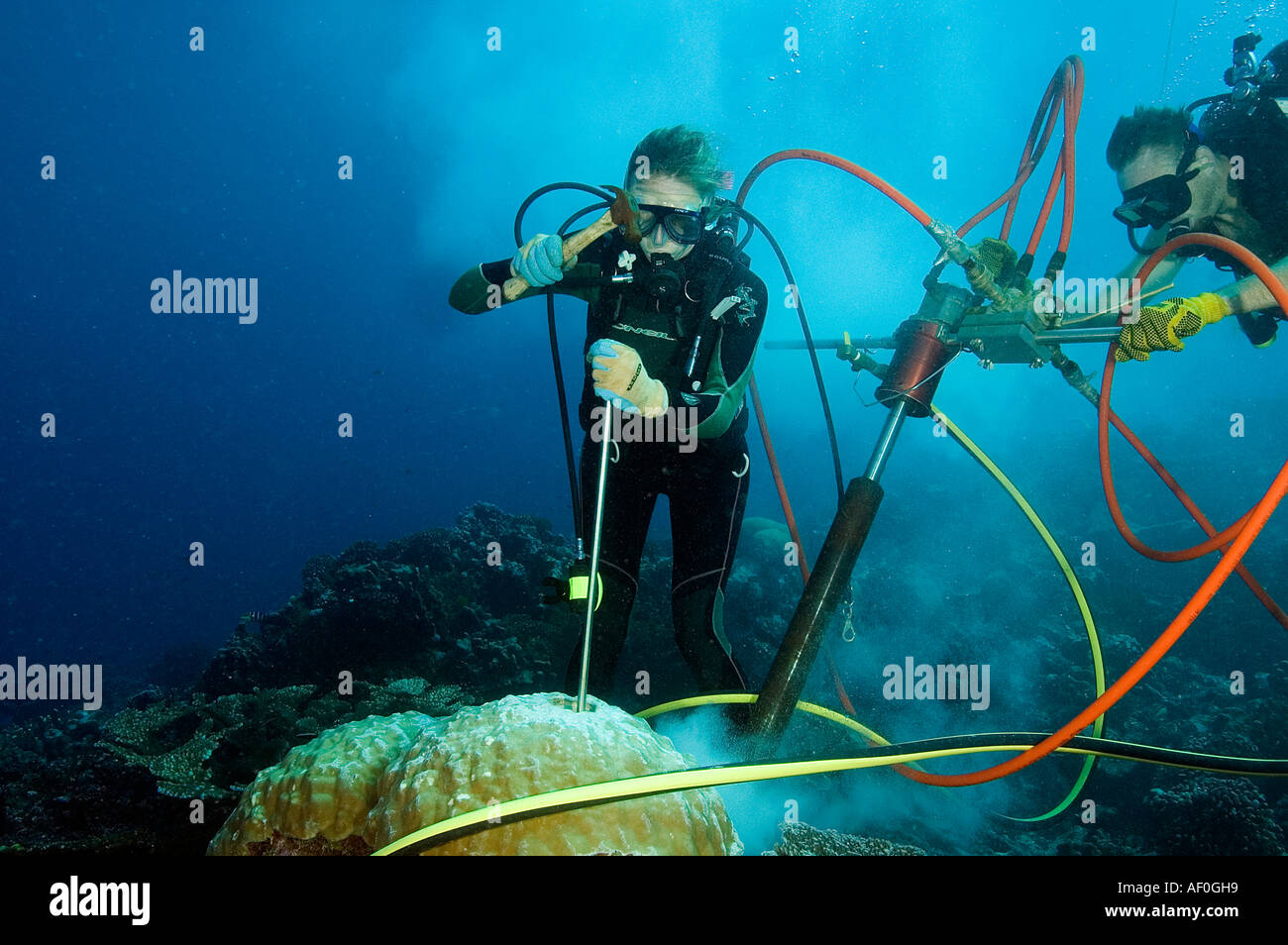 Core drilling underwater hires stock photography and images Alamy