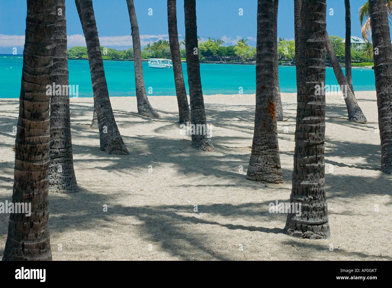 tropical beach scene Hawaii Islands Stock Photo - Alamy