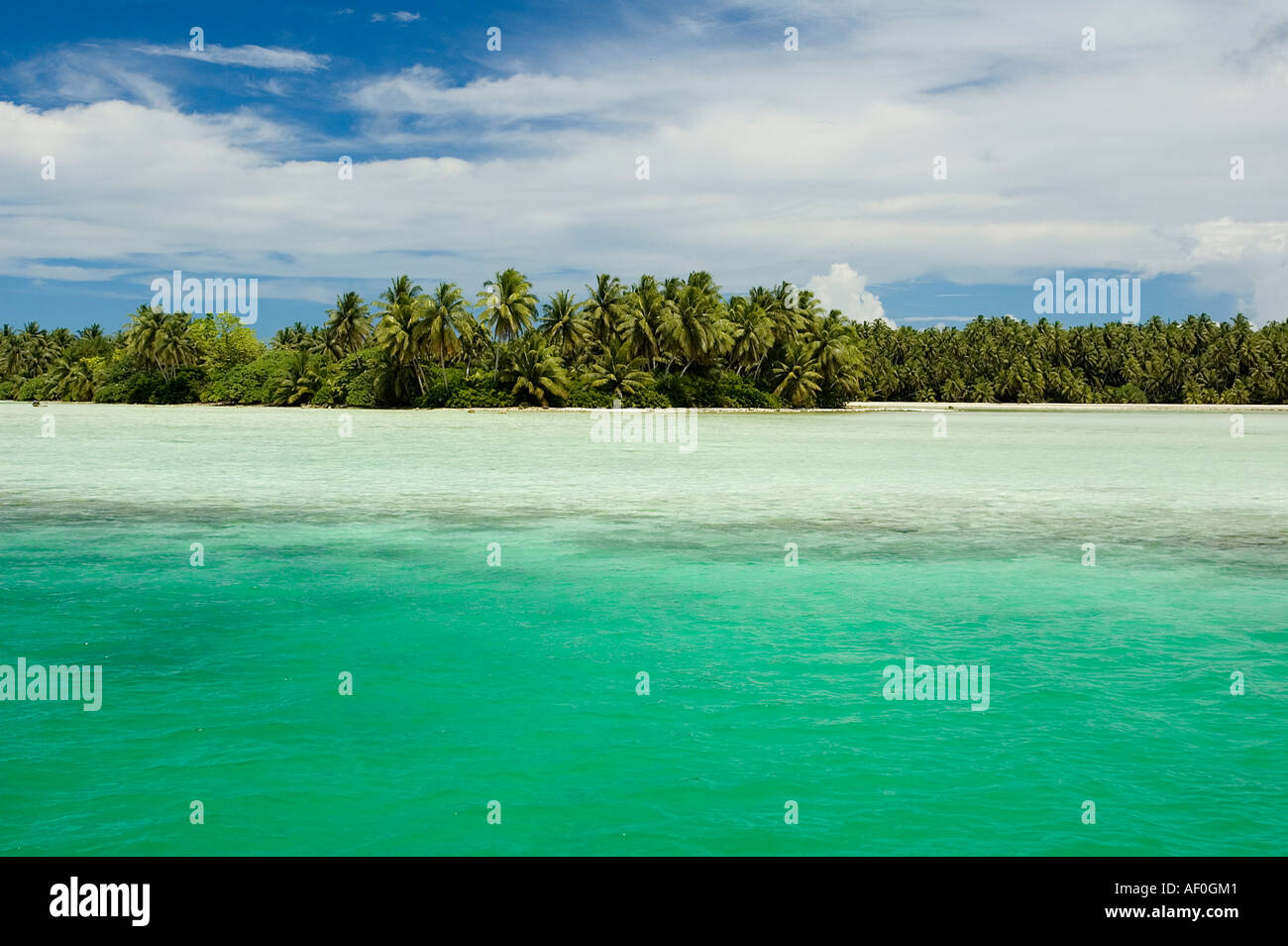 Palmyra Atoll south Pacific Stock Photo