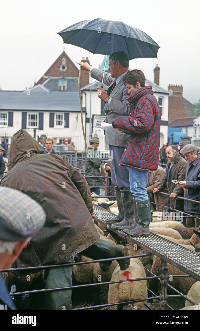 Sheep Market, Abergavenny, Gwent, UK Stock Photo Alamy