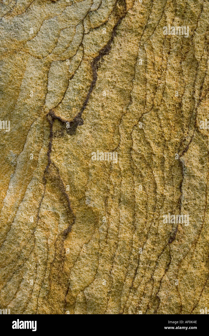 Rough gold sandstone hi-res stock photography and images - Alamy